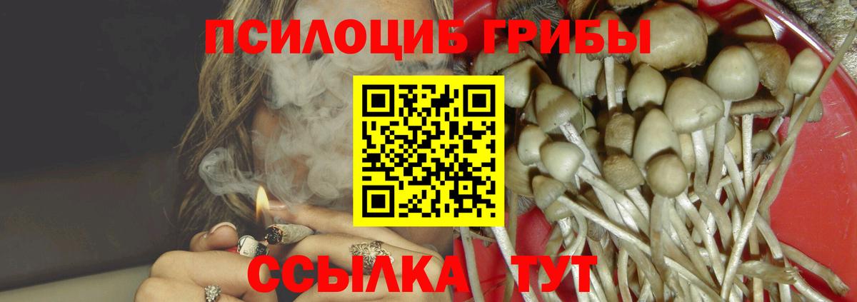 Псилоцибиновые грибы ЛСД Саянск